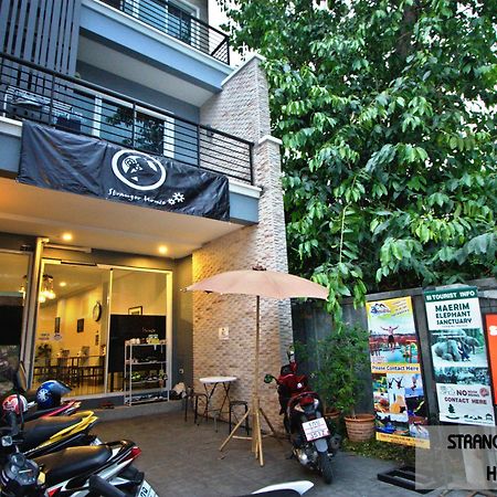 Stranger House Hostel Chiang Mai Exterior photo